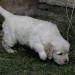 picture-0006