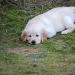 picture-0009