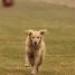 IMG 3504.thumbnail.JPG