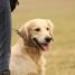 IMG 3515.thumbnail.JPG