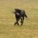 IMG 3525.thumbnail.JPG