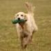 IMG 3543.thumbnail.JPG