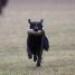 IMG 3564.thumbnail.JPG