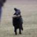 IMG 3565.thumbnail.JPG