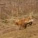 IMG 3590.thumbnail.JPG