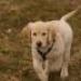 IMG 3635.thumbnail.JPG