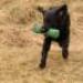 IMG 3652.thumbnail.JPG