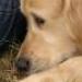 IMG 3774.thumbnail.JPG
