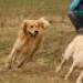 IMG 3836.thumbnail.JPG
