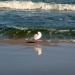 Urlaub Ostsee Binz 184.JPG