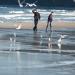 Urlaub Ostsee Binz 209.JPG