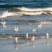 Urlaub Ostsee Binz 210.JPG