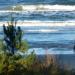 Urlaub Ostsee Binz 249.JPG