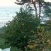 Urlaub Ostsee Binz 253.JPG