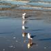 Urlaub Ostsee Binz 425.JPG