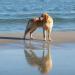 Urlaub Ostsee Binz 451.JPG