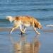 Urlaub Ostsee Binz 452.JPG