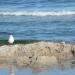 Urlaub Ostsee Binz 454.JPG