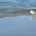 Urlaub Ostsee Binz 455.JPG