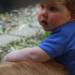 2012-05-28 Harz mit Kindern (329).JPG