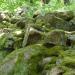 2012-05-28 Harz mit Kindern (427).JPG