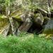 2012-05-28 Harz mit Kindern (438).JPG