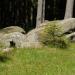 2012-05-28 Harz mit Kindern (440).JPG