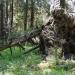 2012-05-28 Harz mit Kindern (453).JPG
