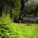 2012-05-28 Harz mit Kindern (486).JPG