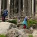 2012-05-28 Harz mit Kindern (511).JPG
