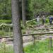 2012-05-28 Harz mit Kindern (520).JPG