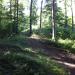 IMG 1530.JPG